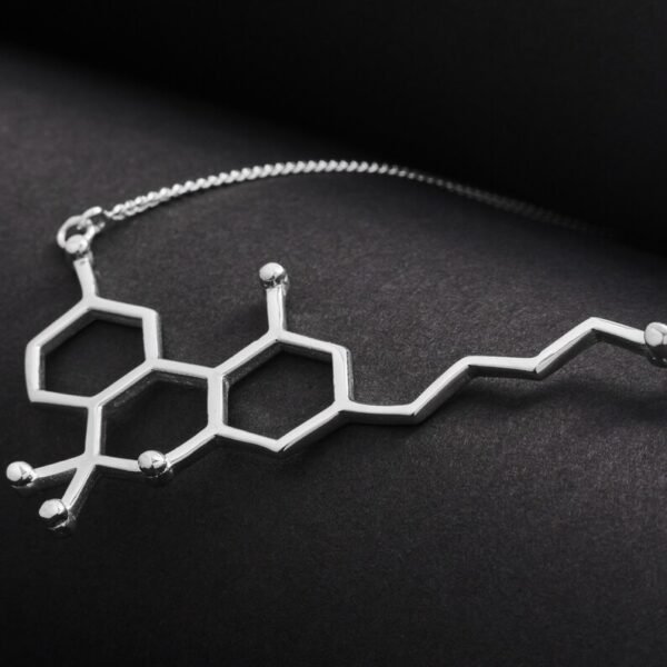 THC Tetrahydrocannabinol Marijuana Molecule SS Necklace (Style 02) - Image 4